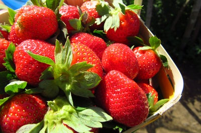 Fresh strawberries from La Trinidad Strawberry Farm