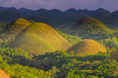 Chocolate Hills in Bohol