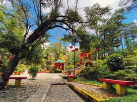 Sunny day at the Botanical Garden, part of Cultural & Heritage Tour