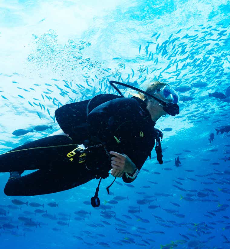 Philippine Scuba Diving Packages & Courses