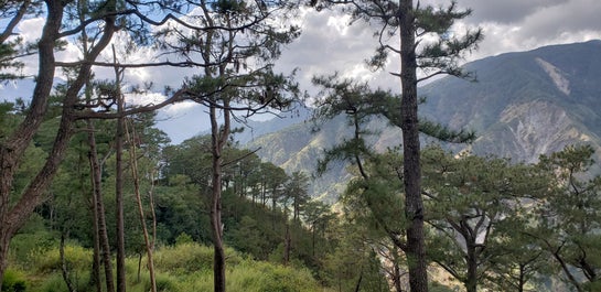 Foggy day in Baguio City