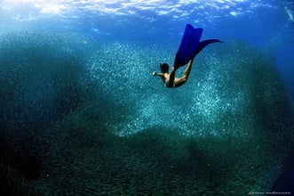 A diver during the advanced open water diving session in Cebu