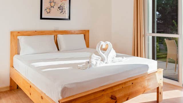 12-Day Cebu Moalboal Island Diving Package Fun Dives at Cebu Seaview Dive Resort