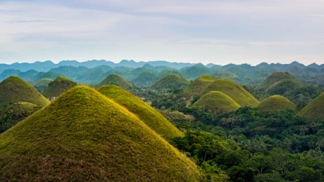 Chocolate Hills in Bohol