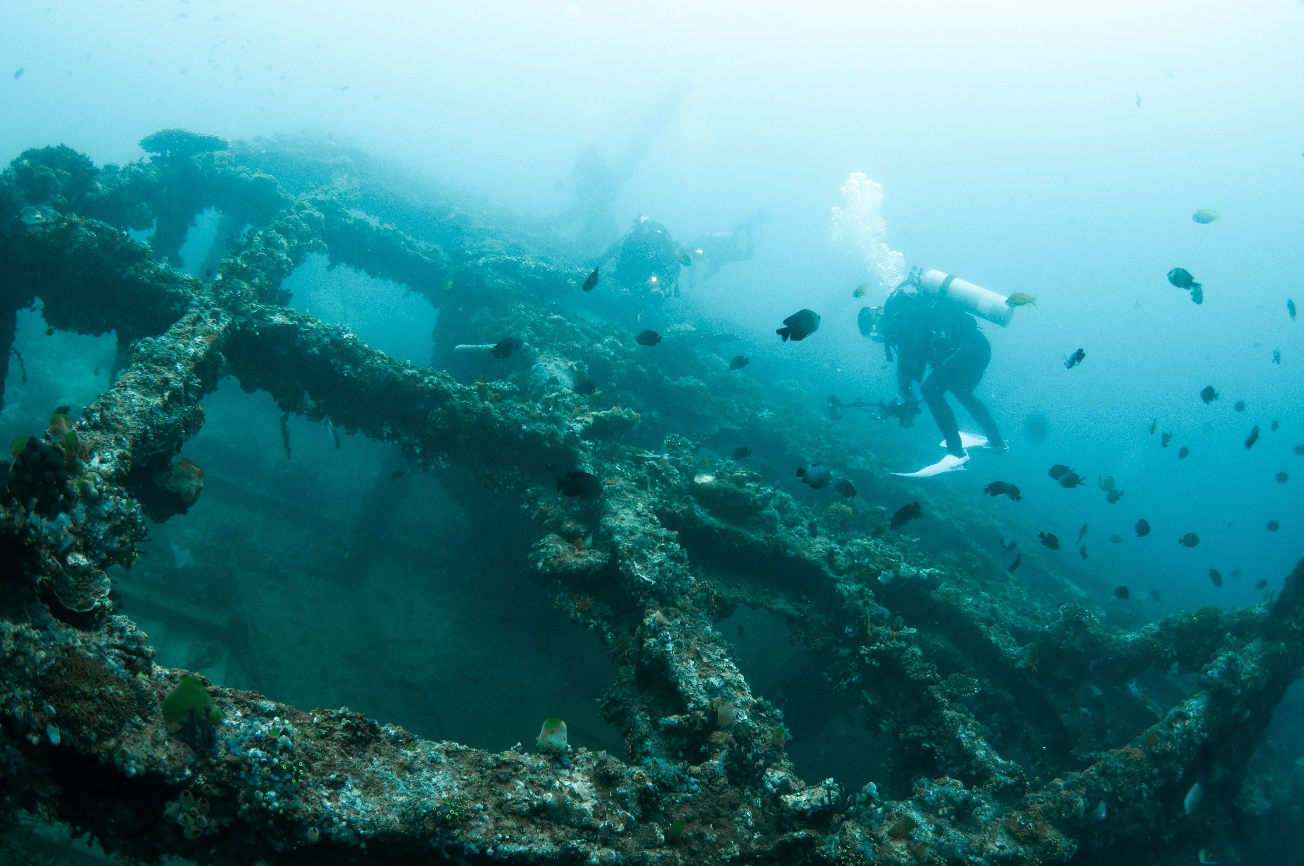 Divers at a shipwreck site in Anilao, Batangas Divers at a shipwreck site in Anilao, Batangas