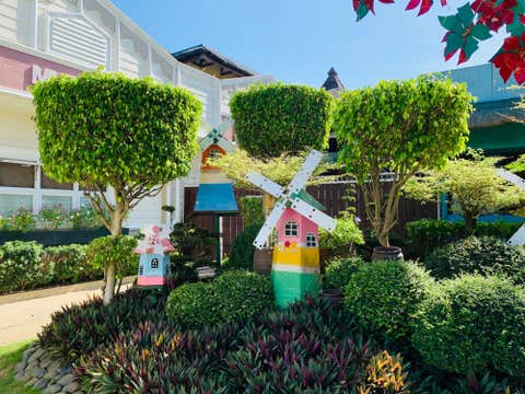 8-Day Islands, Countryside & Falls Tour to Puerto Princesa, Apo Island, Cebu & Baguio from Manila