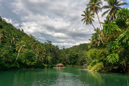 8-Day Countryside, Falls & Islands Tour to Bohol, Cebu & Apo Island from Manila