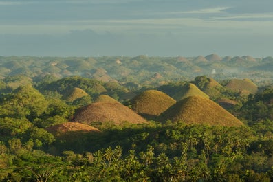 Beautiful view of Chocolate Hills in Bohol