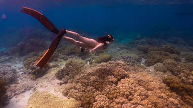 8-Day Natural Wonders, Islands & Countryside Tour to Puerto Princesa, Bohol & Cebu from Manila