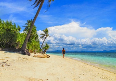 Beach in Pamilacan Island in Bohol