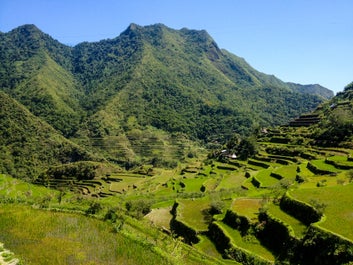 Rice Terraces in Banaue