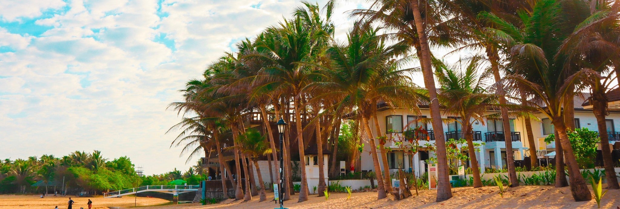 Palm trees lining Bolinao Beach, Pangasinan - Copy.jpg