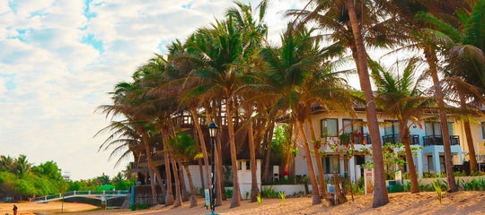 Palm trees lining Bolinao Beach, Pangasinan - Copy.jpg