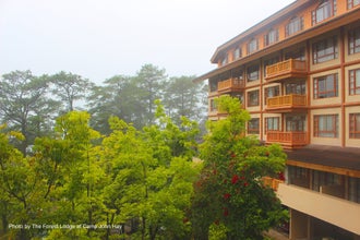 3D2N Baguio Staycation Package | The Forest Lodge + City Tour
