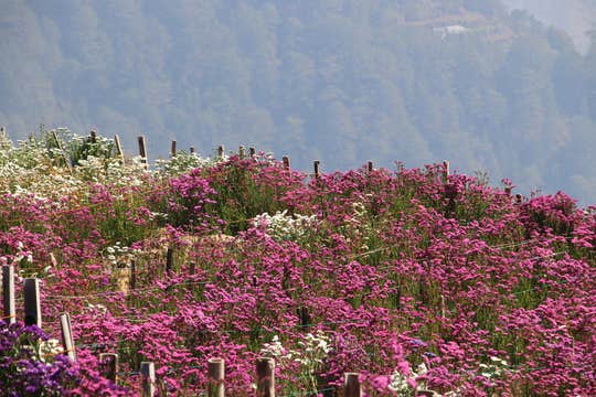 14-Day Philippines Nature & Heritage Tour Package to Bohol Island, Dumaguete City & Luzon Highlands