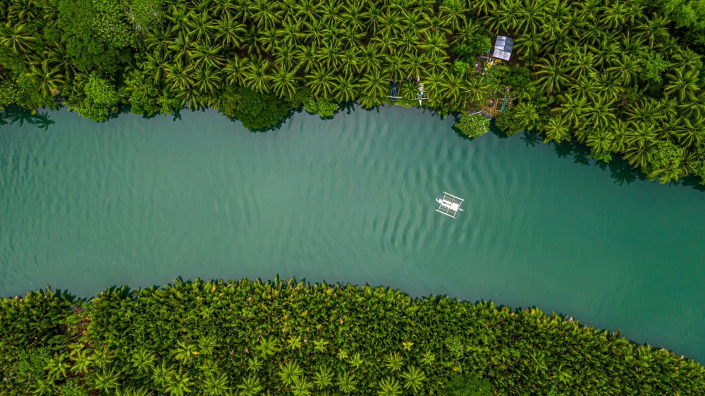 Aerial view of Loboc River in Bohol