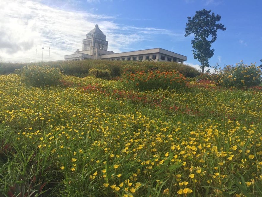 Some of the flowers at the Yamato Flower Farm in Iloilo Some of the flowers at the Yamato Flower Farm in Iloilo
