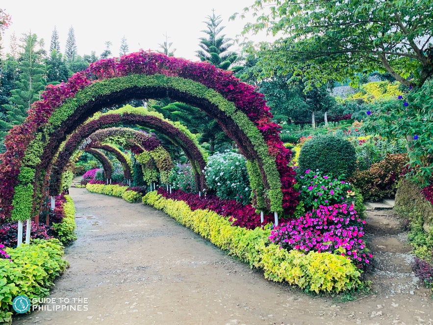 Flower arch path in the Buwakan ni Alejandra, Cebu Flower arch path in the Buwakan ni Alejandra, Cebu