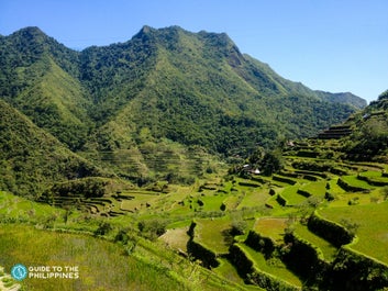 Rice terraces in Banaue