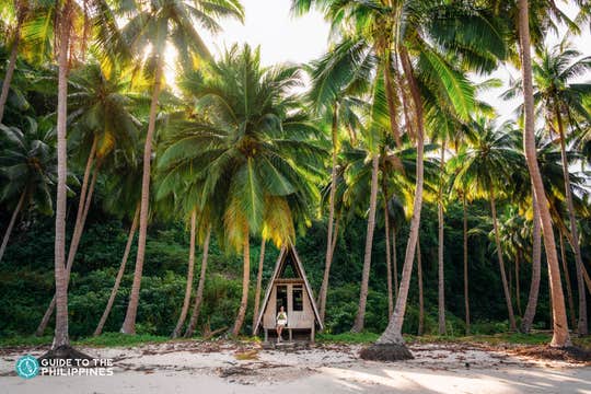 13-Day Philippines Nature Tour to Palawan Island, Cebu City, Bohol Island & Dumaguete City