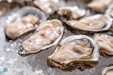 Fresh oysters in Bohol Cambuhat Village