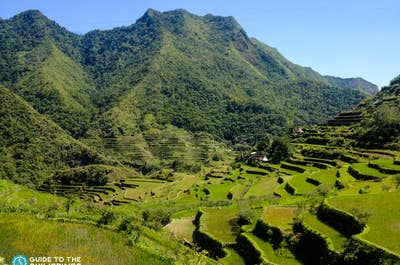 Beautiful rice terraces of Batad