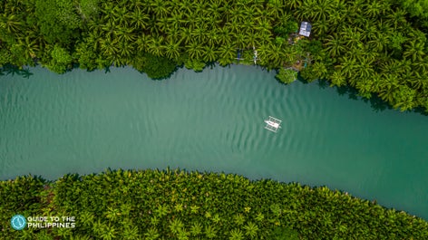 Aerial view of Loboc River Cruise