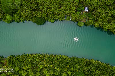 Aerial view of Loboc River Cruise