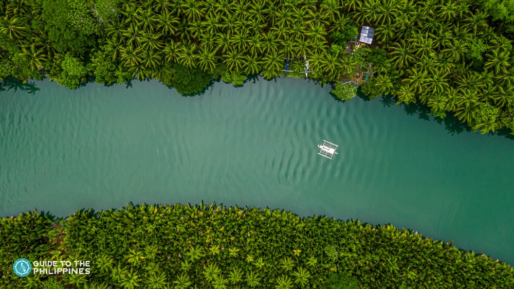 Aerial view of Loboc River in Bohol