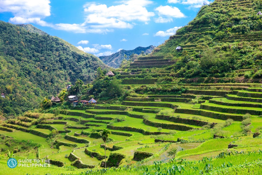 The Banaue Rice Terraces in Batad The Banaue Rice Terraces in Batad