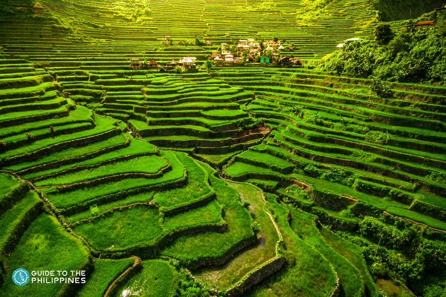 Wide shot of Banaue Rice Terraces in Batad Wide shot of Banaue Rice Terraces in Batad