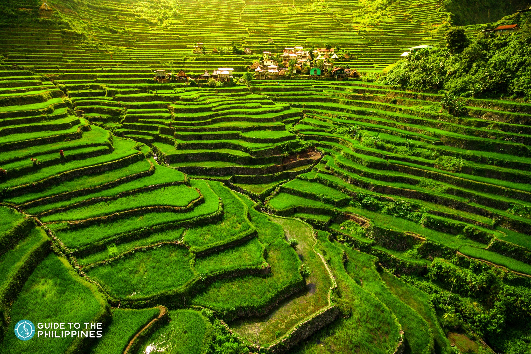 Wide shot of Banaue Rice Terraces in Batad.jpg