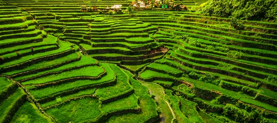 Wide shot of Banaue Rice Terraces in Batad.jpg