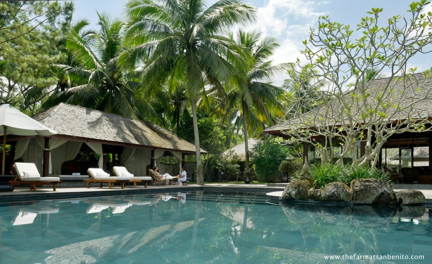 The Farm at San Benito's poolside The Farm at San Benito's poolside