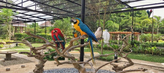 16 Kid-Friendly Places to Visit in Manila &amp; Nearby: Outdoor, Zoos, Hotels &amp; Resorts