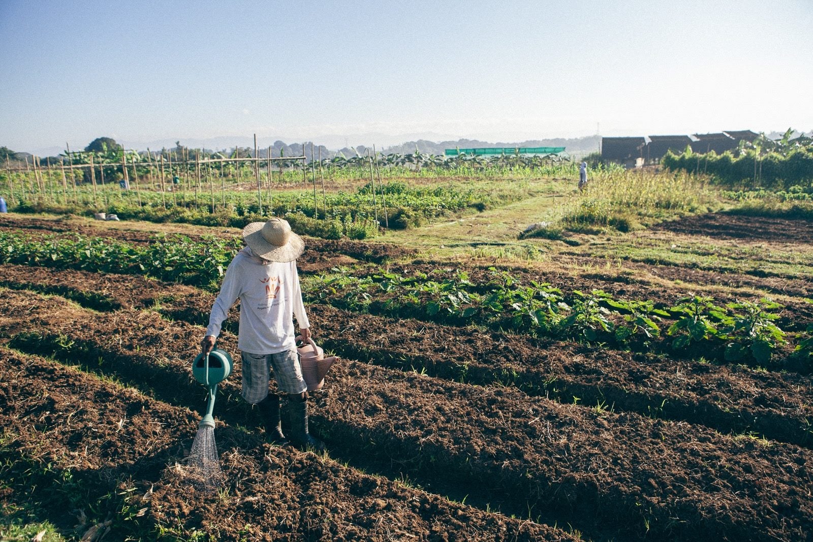 Farmer waters crops in GK Enchanted Farm