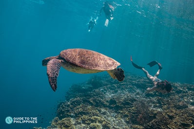 Pescador Island in Cebu