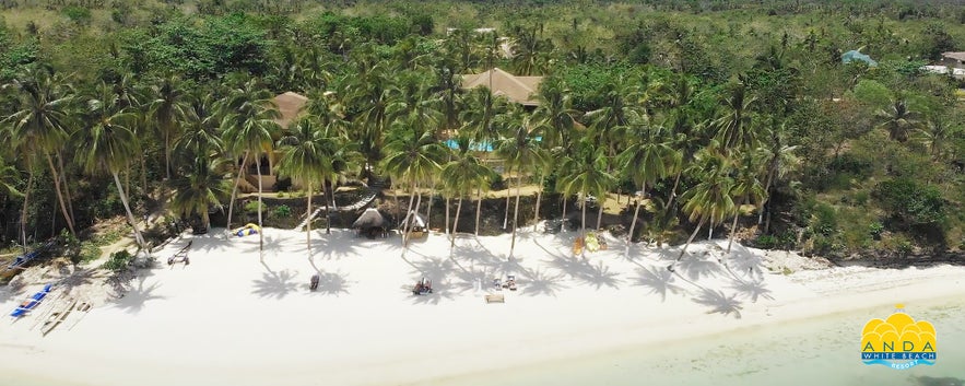 Beachfront of Anda White Beach Resort Beachfront of Anda White Beach Resort