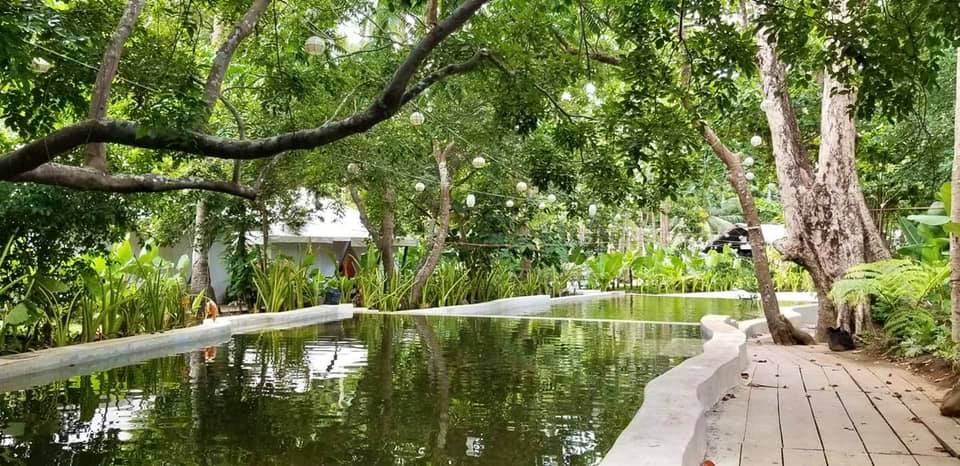 Freshwater pool at Playa La Caleta