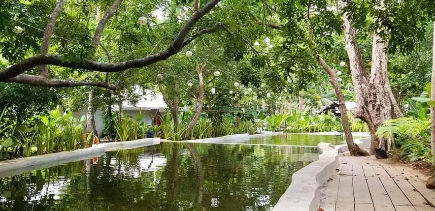 Freshwater pool at Playa La Caleta Freshwater pool at Playa La Caleta