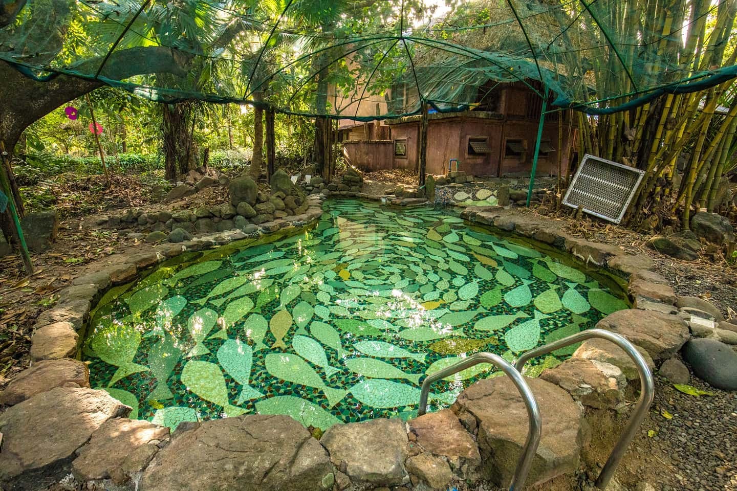 A mosaic pool in Prado Farms