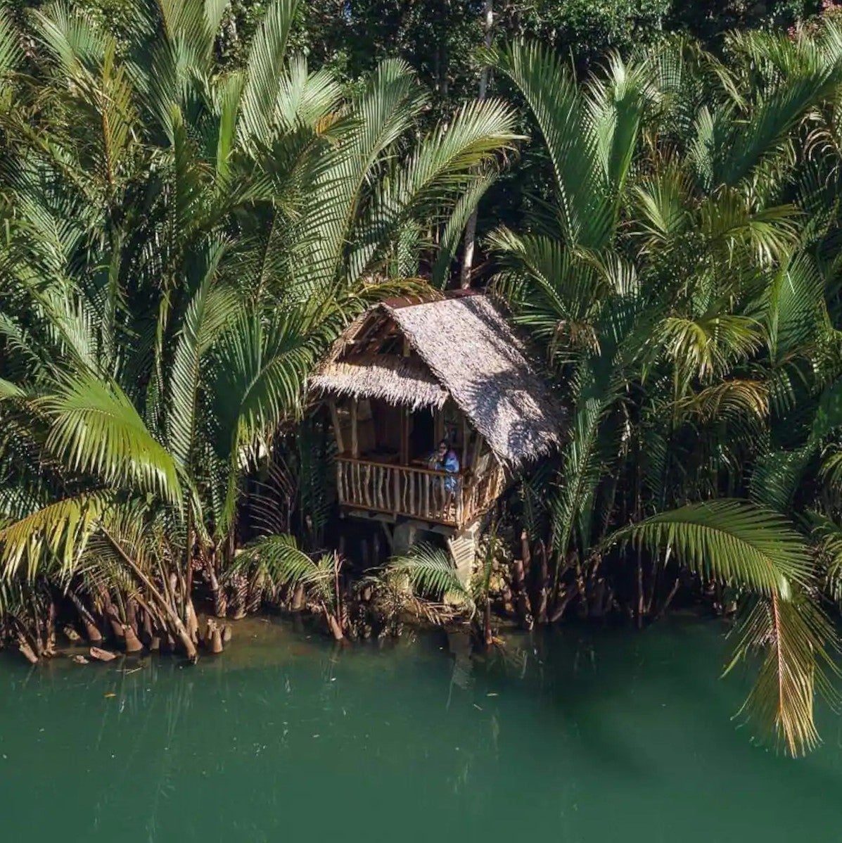 Aerial view of Riverview Canal House