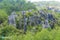 View of Echo Valley in Sagada