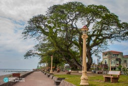 Lamposts along Rizal Boulevard in Dumaguete City