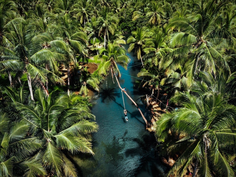 The serene Maasin River, surrounded by lush greenery and calm waters, a peaceful highlight of this Siargao Island tour