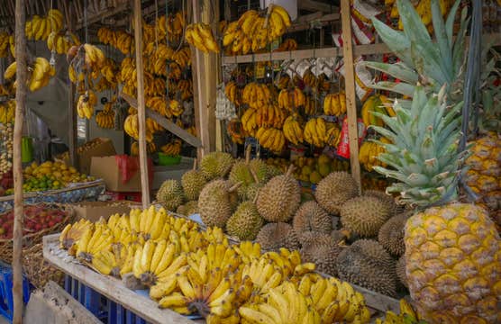 Private Tour to Siargao Island’s Top Attractions with Transfers & Guide