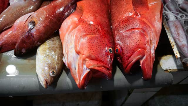 Siargao Sohoton Cove, Club Tara Resort, Tiktikan Lagoon & Naquiawit Island Tour with Transfers