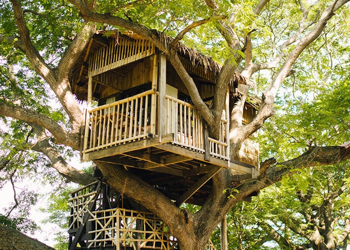 Stilts Calatagan Beach Resort’s Serenitree room Stilts Calatagan Beach Resort’s Serenitree room