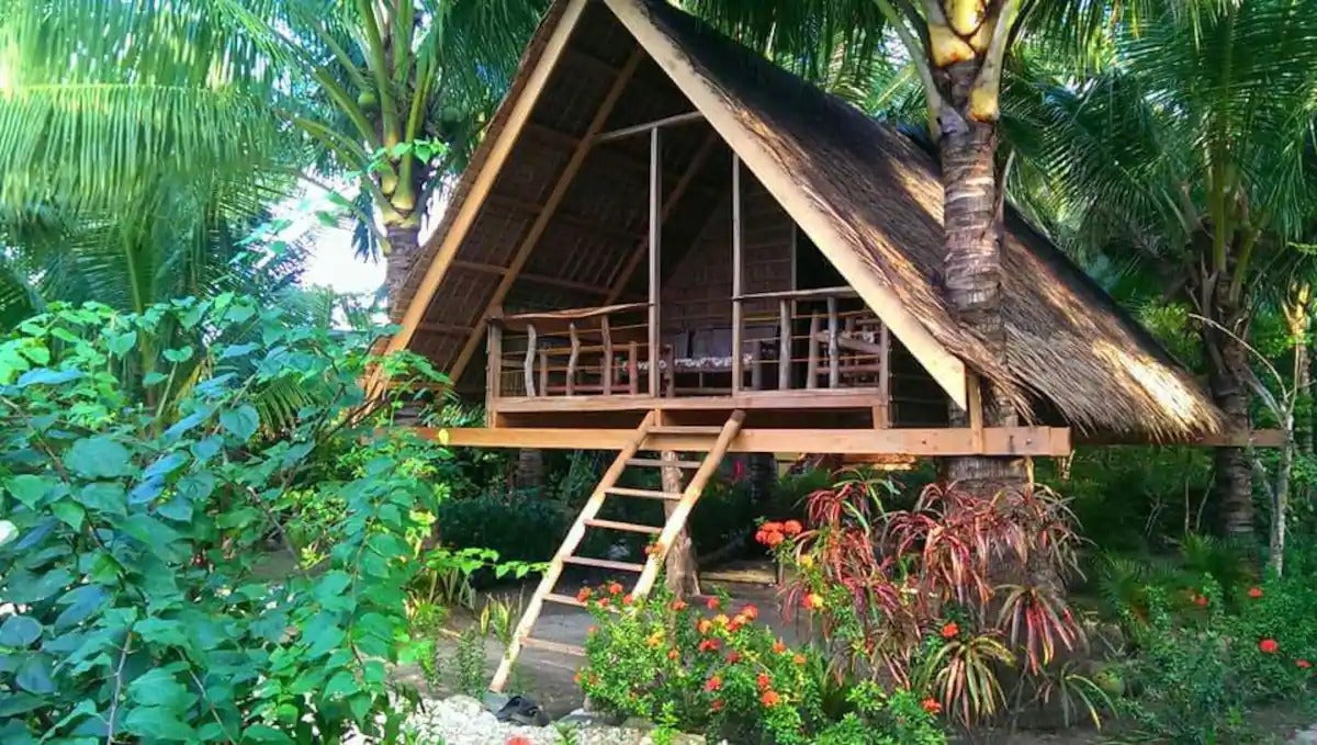 Coconut Tree House in Mindoro Coconut Tree House in Mindoro
