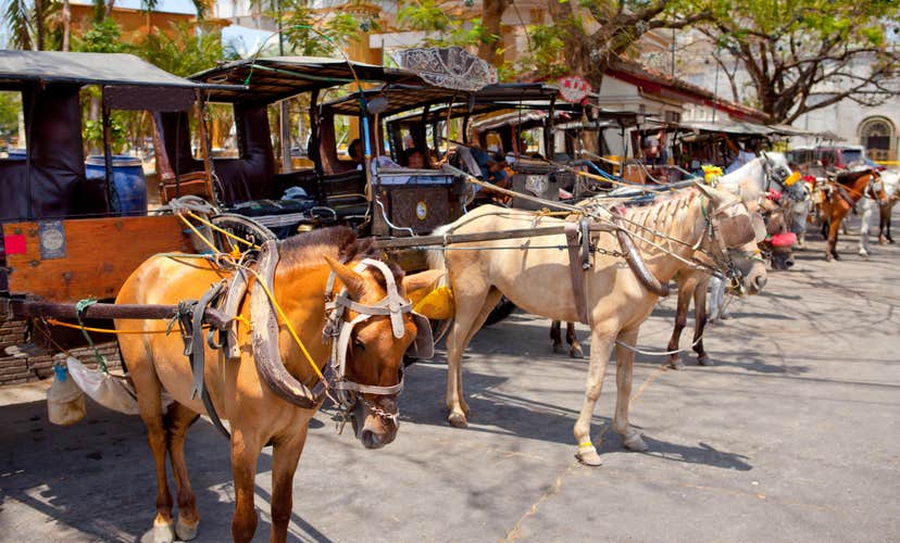 Philippine Kalesa parked in Calle Crisologo in Vigan